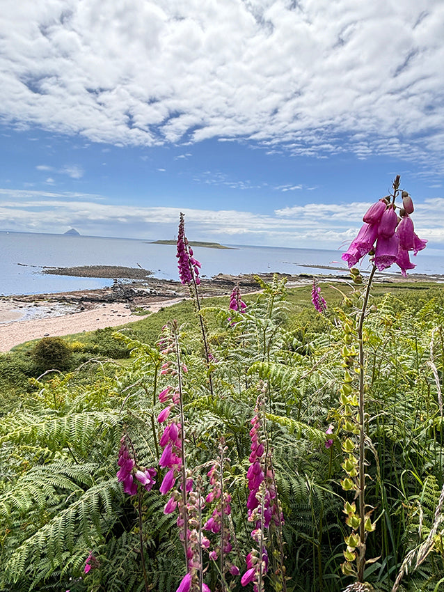 3 Day PLEIN AIR WORKSHOP - ISLE OF ARRAN - DEPOSIT